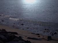 Picture for song 'Intro - Through The Waters' by artist 'JC Manlapat'