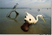 Picture for song 'Gymnopedie 1(Eric Satie cover)' by artist 'JCR Solo project'
