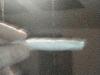 Picture for song 'Ak's are Ok Freestyle' by artist 'J DUBZ 2004'