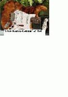 Picture for song 'What Can I do About That' by artist 'Jean Albert Renaud and Demian Bell'