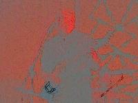 Picture for song 'I'm So Afraid' by artist 'Jeff Blumer'