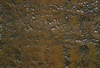 Picture for song 'Illogical Hallucinations' by artist 'jeff compton'