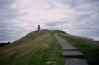 Picture for song 'Wellstone!' by artist 'Jenny Dalton'