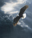 Picture for song 'Above The Storm Clouds' by artist 'Jereme Watson'
