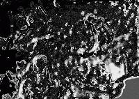 Picture for song 'Imperfect Perfection' by artist 'JergoR'