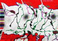 Picture for song 'leper' by artist 'JergoR'