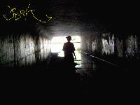 Picture for song 'I'm An Asshole' by artist 'Jerk'