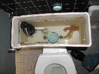 Picture for song 'WHEN KATZ OPEN THIER MOUTH'S' by artist 'Jerk'