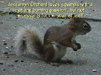 Picture for song 'Circles on Bikes' by artist 'Jessamyn Orchard'