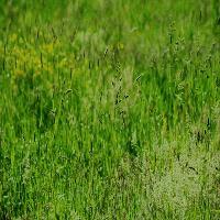 Picture for song 'Textures' by artist 'Jessiah Productions'