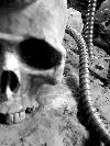 Picture for song 'over the water (genocide)' by artist 'Jessica Nielsen'