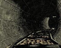 Picture for song 'ALMENTANDO EL DOLOR' by artist 'JFONZ'