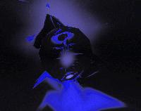 Picture for song 'HACE TIEMPO' by artist 'JFONZ'