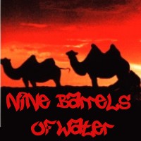 Picture for song 'Nine Barrels of Water' by artist 'jigsawCity'