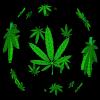 Picture for song 'Wretcheds VS Verbal Wreckin Crew' by artist 'Jimbo'