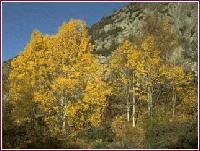 Picture for song 'Ferguson Road by Carole King' by artist 'Jim Durand'