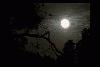 Picture for song 'Dancing with the Moon' by artist 'Jim Melko'