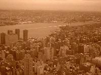 Picture for song 'No Life' by artist 'JimmyBam Allstars'