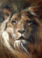 Picture for song 'All About My Game feat J. B. Evil' by artist 'JIZZM HIGH DEFINITION'