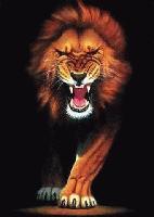 Picture for song 'SERVICE - Vinyl Mix' by artist 'JIZZM HIGH DEFINITION'