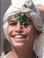 Picture for song 'Arabic Boy Freestyle Pt. 2' by artist 'J-Kr3w'