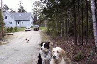 Picture for song 'Ride' by artist 'Joanna'