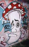Picture for song 'JIG SAW BLUES' by artist 'JOE BLOW HSG'