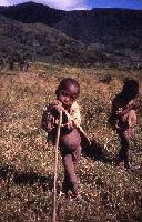 Picture for song 'Malagasy Memories' by artist 'joedai warriors'