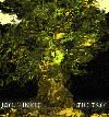 Picture for song 'holfuf' by artist 'joel hinkle'