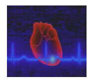 Picture for song 'Cardiac Awakening' by artist 'Joe Linez'