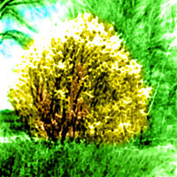 Picture for song 'May' by artist 'Joe W Larson'