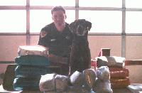 Picture for song 'Caravan' by artist 'John Coulter'