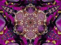 Picture for song 'The Neighbors Wonder feat ESNC' by artist 'John Coulter'