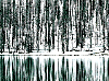 Picture for song 'Bach, Fugue 23, WTC 1 (Grant)' by artist 'john lewis grant'