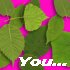 Picture for song 'You On My Mind' by artist 'John Lord'