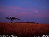 Picture for song 'Indian Summer Sky(acoustic)*bonus track*' by artist 'John McConnach'