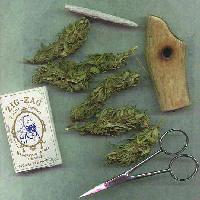 Picture for song 'Smokin' A Joint (Maxi Single Release)' by artist 'Ded Poettz soPSYeti - ASYLUM - Koga Monks - Hashish Isham'