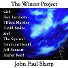Picture for song 'Mercurial Delight (Instrumental Version)' by artist 'John Paul Sharp'