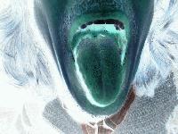 Picture for song 'Low' by artist 'Joint Adventure'