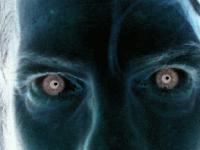 Picture for song 'Safe Haven' by artist 'Joint Adventure'