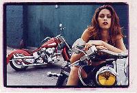 cover pic