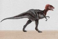 Picture for song 'We Run This Rap Shit' by artist 'jon dough'