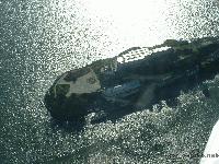 Picture for song 'phrygian surf' by artist 'Jon Reilly'