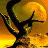 Picture for song 'Like The Sun' by artist 'Jon Wallinger'