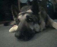 Picture for song 'cool solo riff' by artist 'Jon Ward'