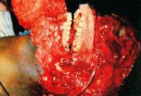 Picture for song 'new riff' by artist 'Jon Ward'