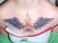 Picture for song 'Tattoo Girl' by artist 'Josh and Tom'