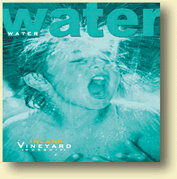 Picture for song 'Water' by artist 'Josh Brahm'