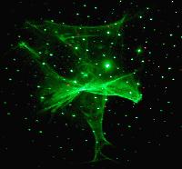 Picture for song 'Wet Out' by artist 'Josh MacDonald'