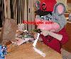 Picture for song 'Prank callin a Wiener' by artist 'JoshPranks'